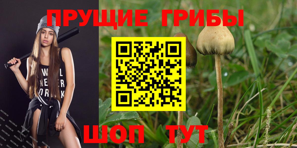 Жигулёвск  Галлюциногенные грибы Magic Shrooms  Вход с VPN 
